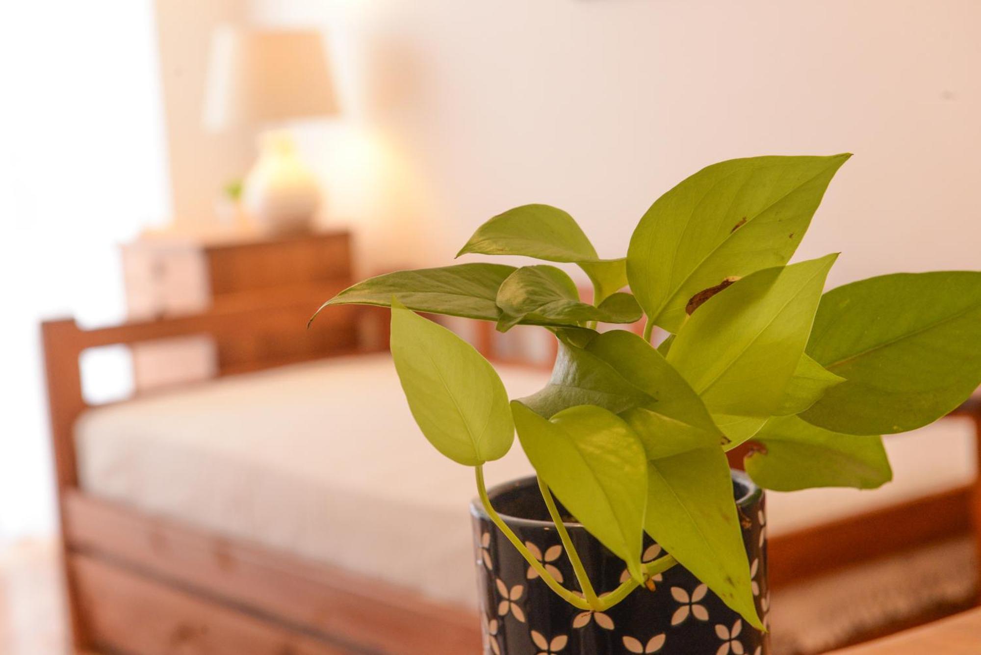 Imperdible En Palermo Botanico La Rural Seguridad 24Hs Apartment Buenos Aires Exterior foto